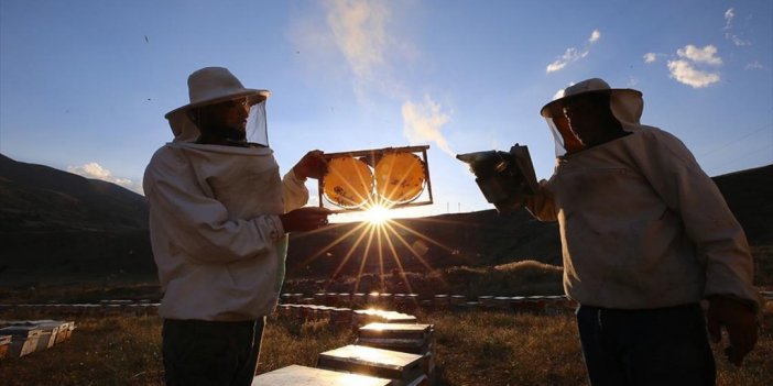 Bingöllü Arıcı Aile, Ab Tescilli Balları İle Londra'da Altın Madalya Aldı