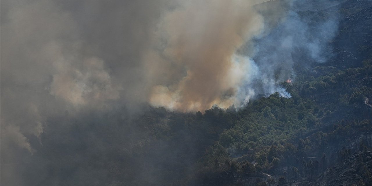 Portekiz'in Madeira Adasındaki Orman Yangını Adanın Yüzde 6'sından Fazlasını Kül Etti