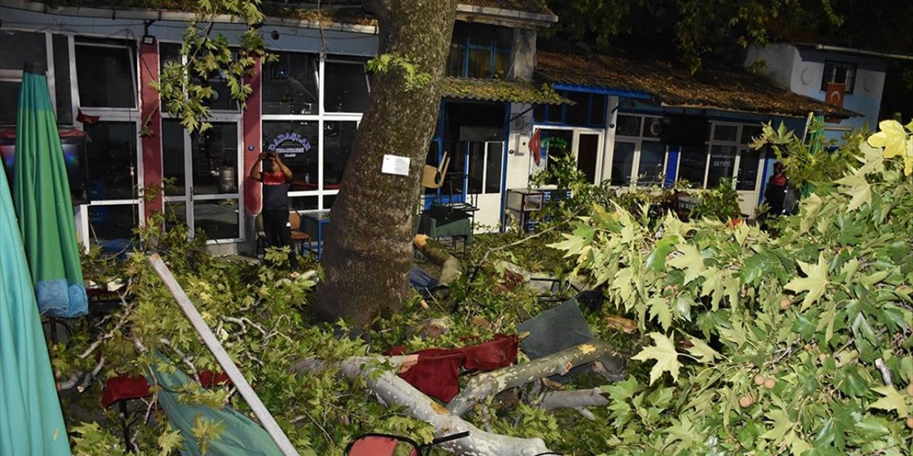 İzmir'de 9 Kişi Kırılan Ağaç Dallarının Üzerlerine Düşmesi Sonucu Yaralandı