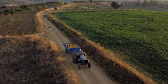 Çiftçilere Yaklaşık 1,5 Milyar Lira Tarımsal Destekleme Ödemesi Yapılacak