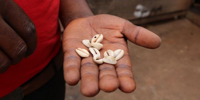Afrika Kıtasında İlk Ödeme Aracı Olarak Kullanılan Deniz Kabuğu "cauri"