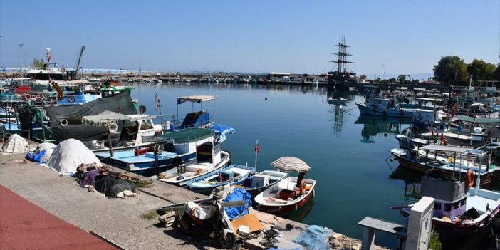 Balıkçının Umudu Palamutta