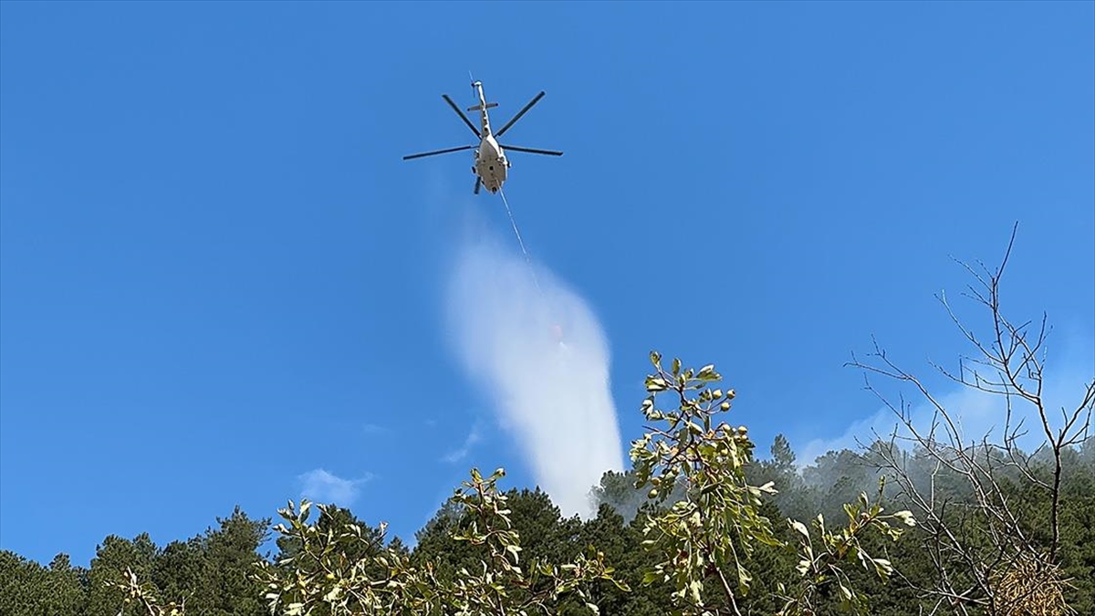 Isparta'da Çıkan Orman Yangını Söndürüldü