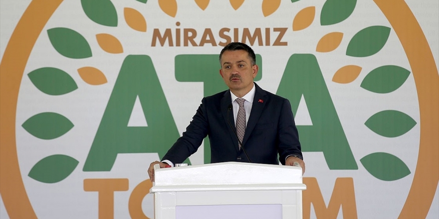 Tarım Ve Orman Bakanı Pakdemirli: Bu Tohumlar, Bu Topraklardaki Mührümüzdür