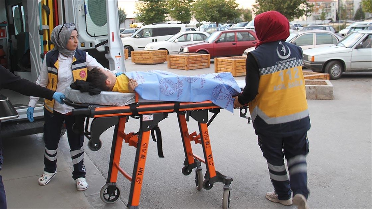 Konya'da parkta sokak köpeklerinin saldırısına uğrayan çocuk yaralandı