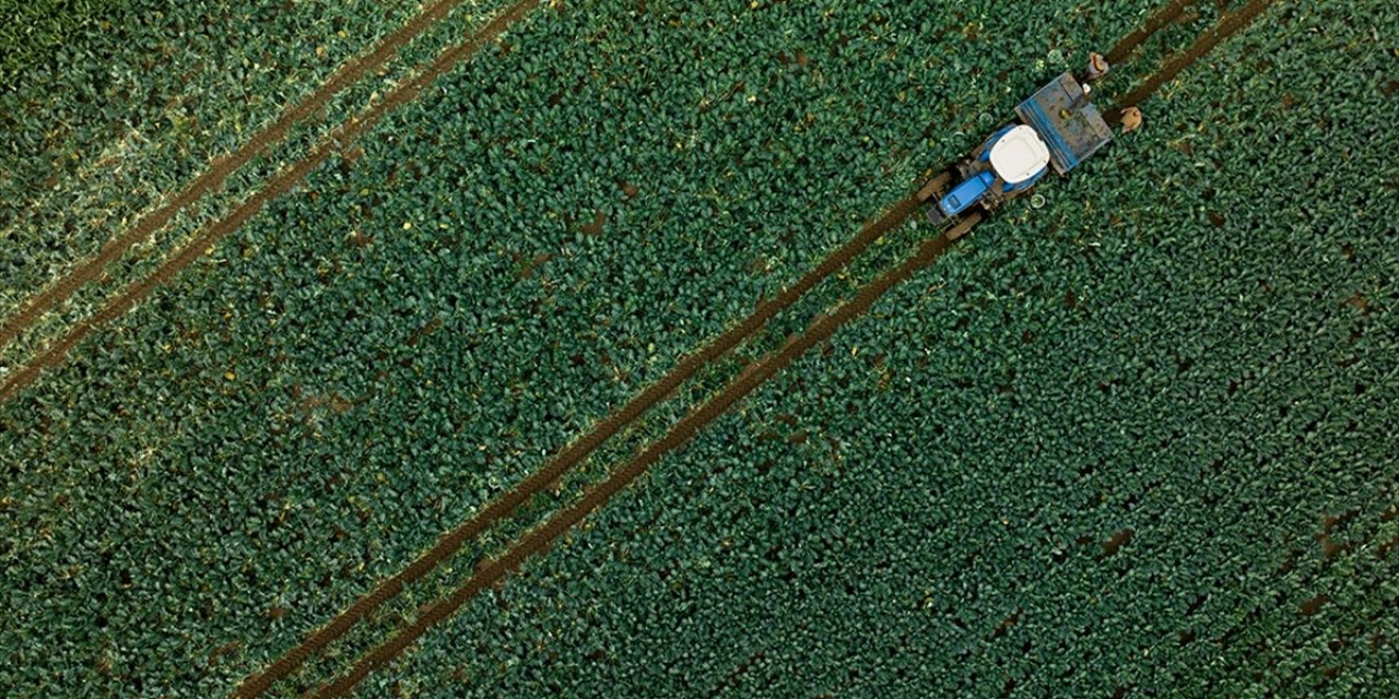 Çiftçilerin 2025 Üretim Yılına İlişkin Çks Başvuruları, 1 Eylül'de Başlayacak