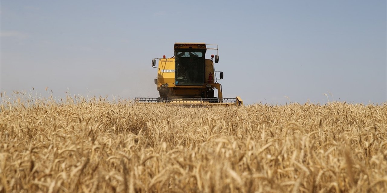 ÇKS Kayıt Yenileme Başvurularının E-devlet Kapısı Üzerinden Alınmasına Başlandı