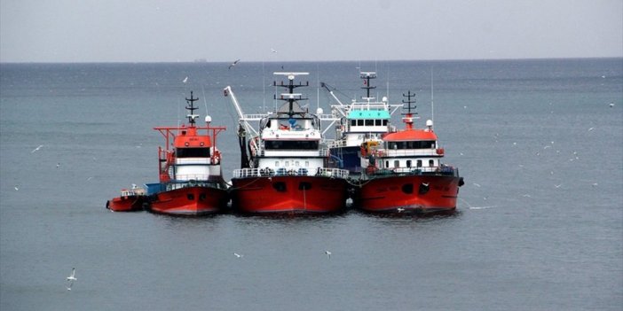 Balıkçı Gemilerinin Hamsi Avcılığı İçin İzin Alma Süresi 6 Eylül'de Doluyor