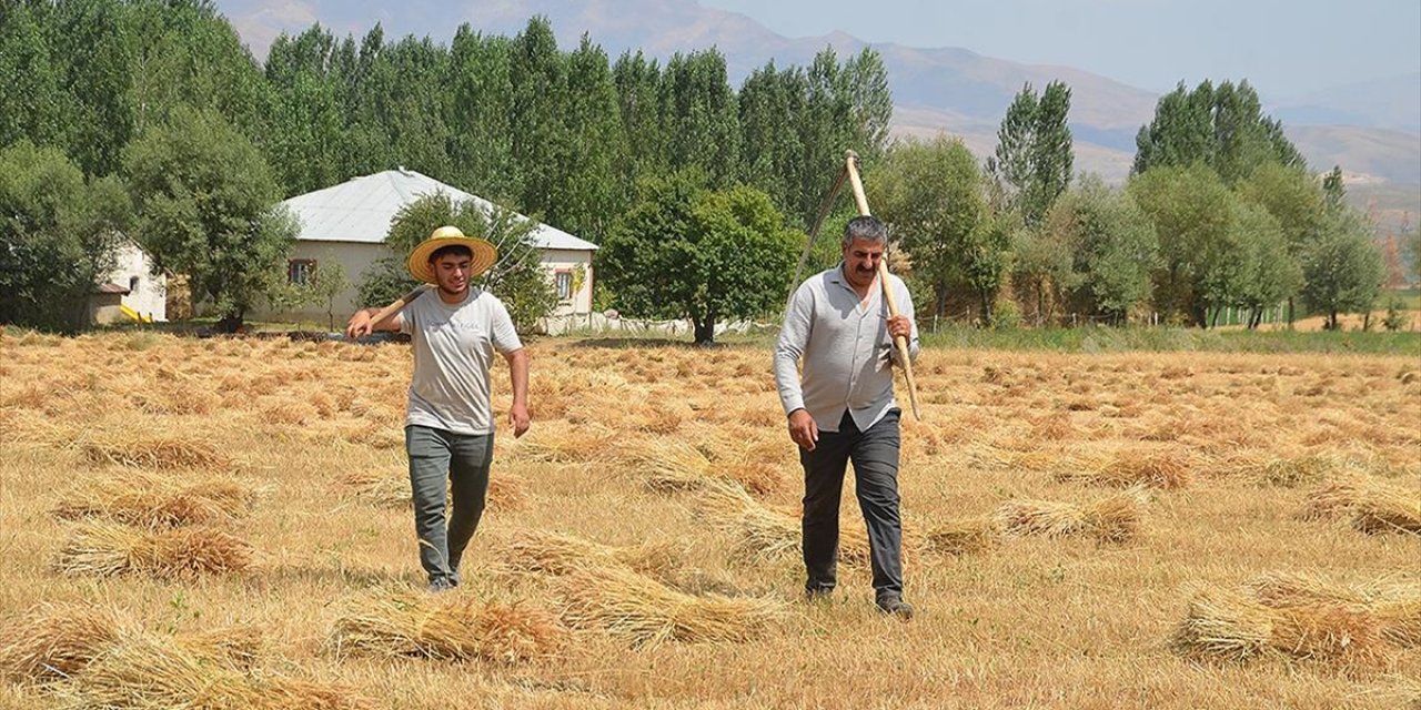 Köylerinde Bir Yandan Babalarına Destek Olan Hakkarili İki Öğrenci Azmedip Tıp Kazandı