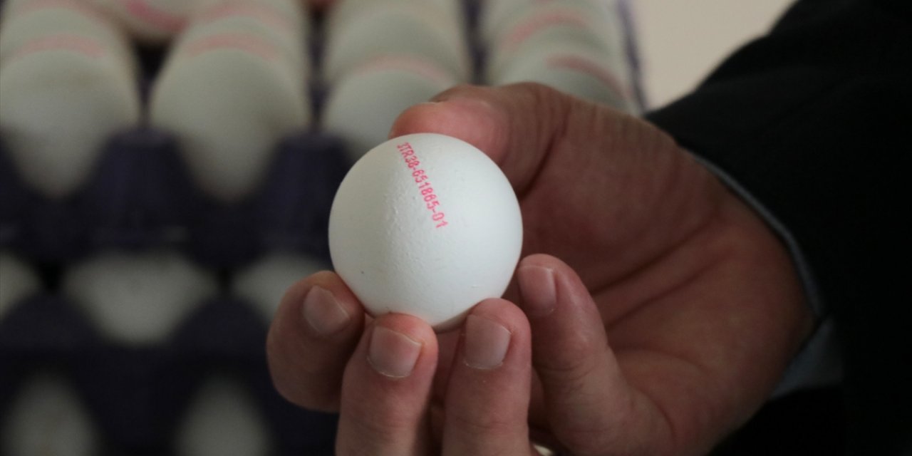 Yumurtalar Üzerindeki Numaralara İlişkin Açıklama