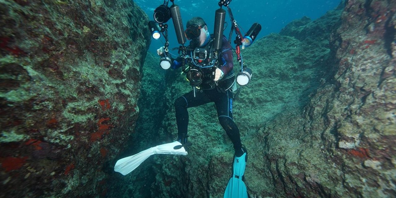 Su Altı Fotoğrafçıları Akdeniz'in Derinliklerindeki Güzellikleri Görüntülemek İçin Dalıyor