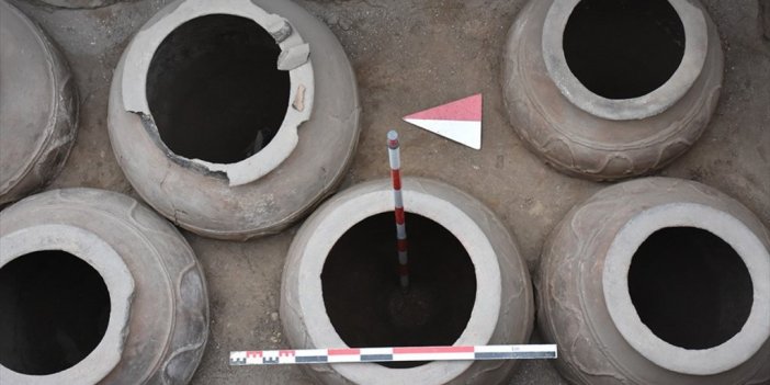 Ani Ören Yeri'ndeki Kazıda Erzak Deposuyla Tavus Kuşu Figürlü Kase Parçası Bulundu