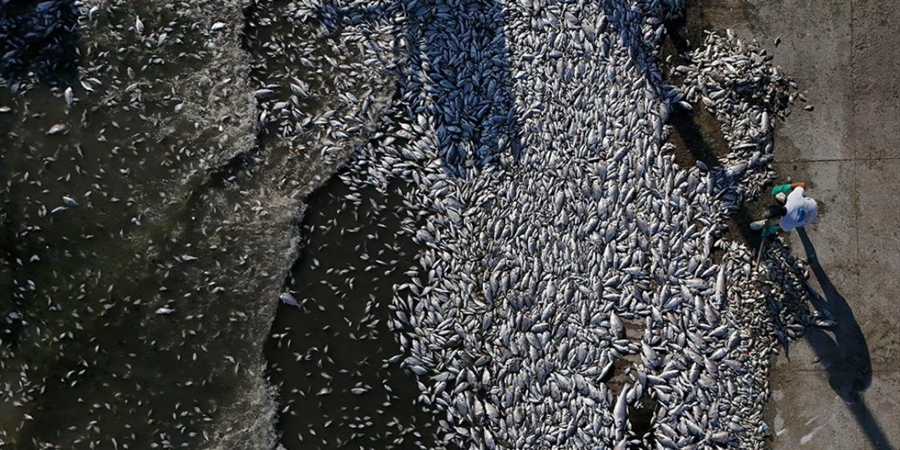 İzmir Büyükşehir Belediyesine 1 Milyon 858 Bin Lira Para Cezası