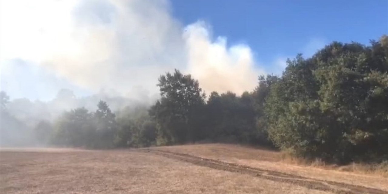 Bursa'da Çıkan Orman Yangınına Müdahale Ediliyor