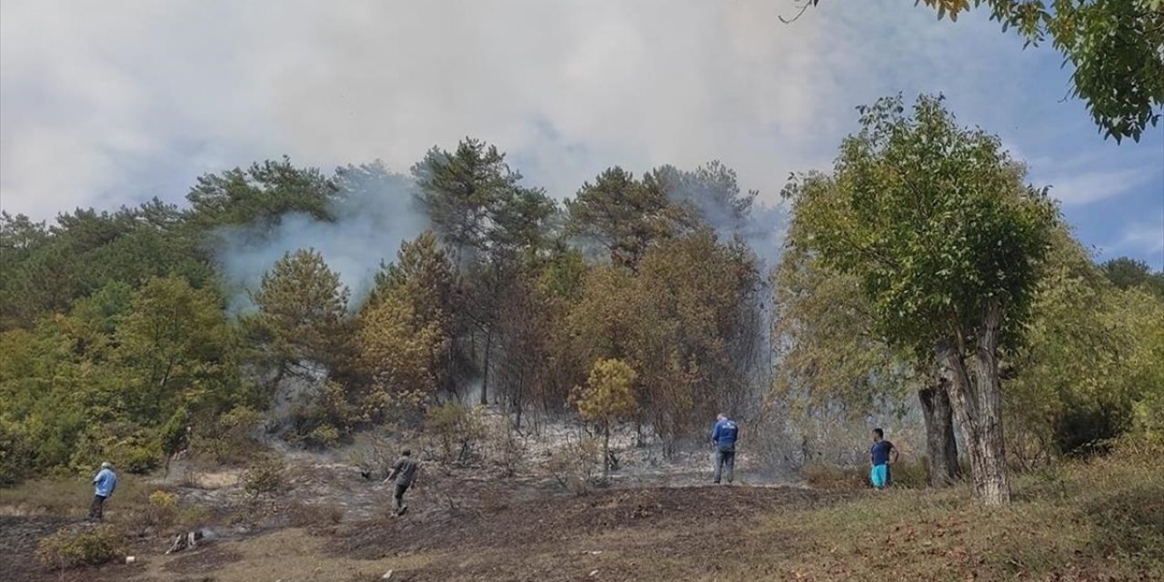 Karabük'te Çıkan Orman Yangınında 15 Dönüm Alan Zarar Gördü