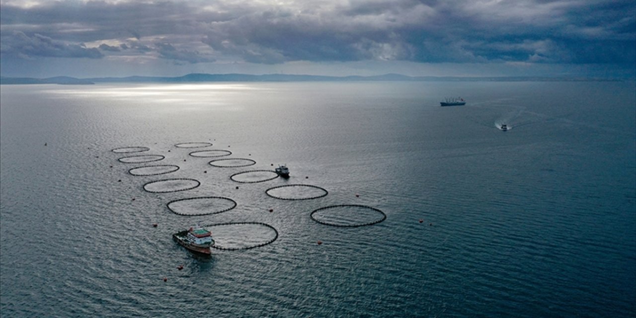 Su Ürünleri Yetiştiricilerine Verilecek Destekler Belirlendi