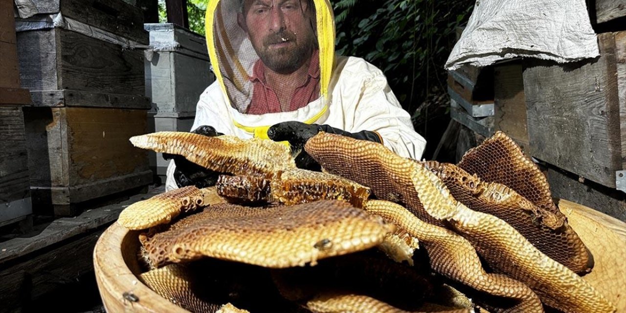 Coğrafi İşaret Tescilli Ayder Balında Hasat Mesaisi Başladı