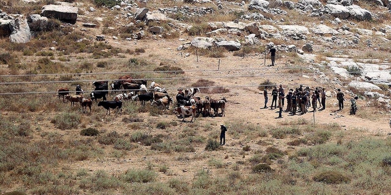 İsrail, İşgal Altındaki Batı Şeria'da Filistinlilere Ait Yüzlerce Dönümlük Araziye El Koydu