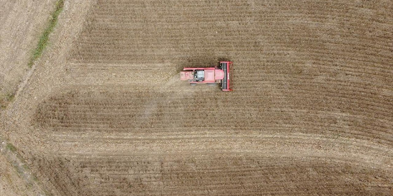 Bilecik'te Yağlık Ayçiçeği Ekim Alanı 3 Yılda 30 Bin Dekar Arttı