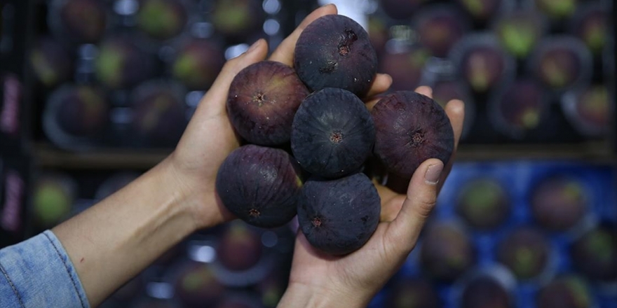 Çinlilerin Kiraz Ve Siyah İncire İlgisi Artıyor