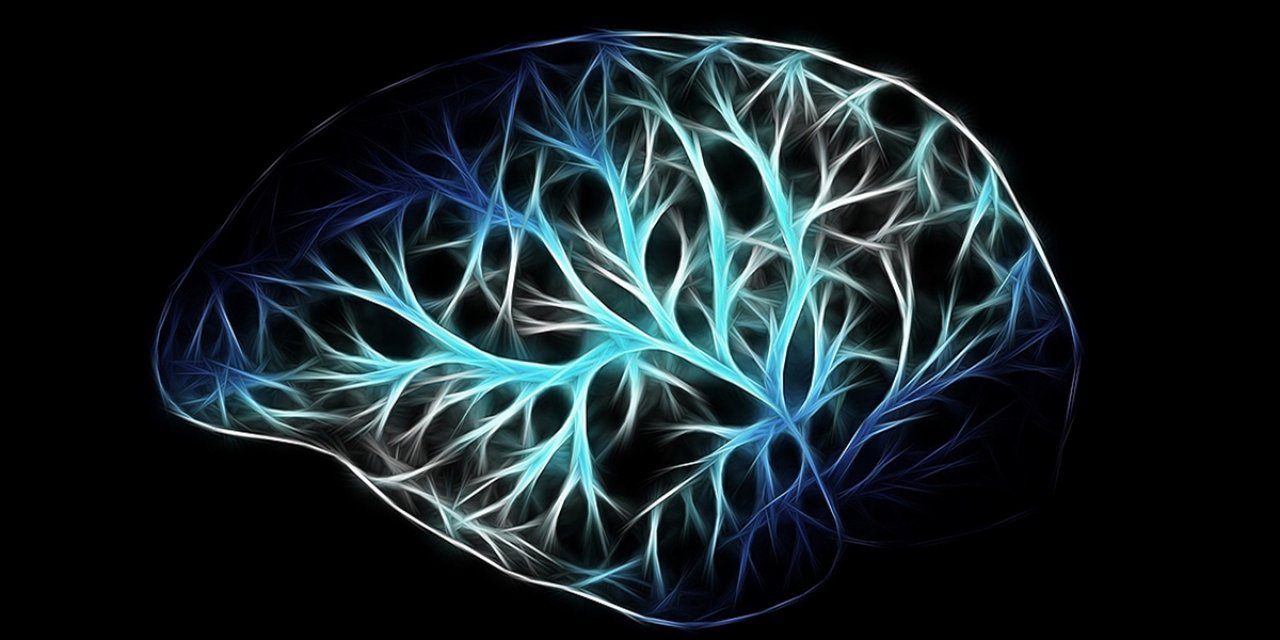 İşlevini Yerine Getiremeyen Beyin Hücreleri, Obezite Ve Diyabete Yol Açabiliyor