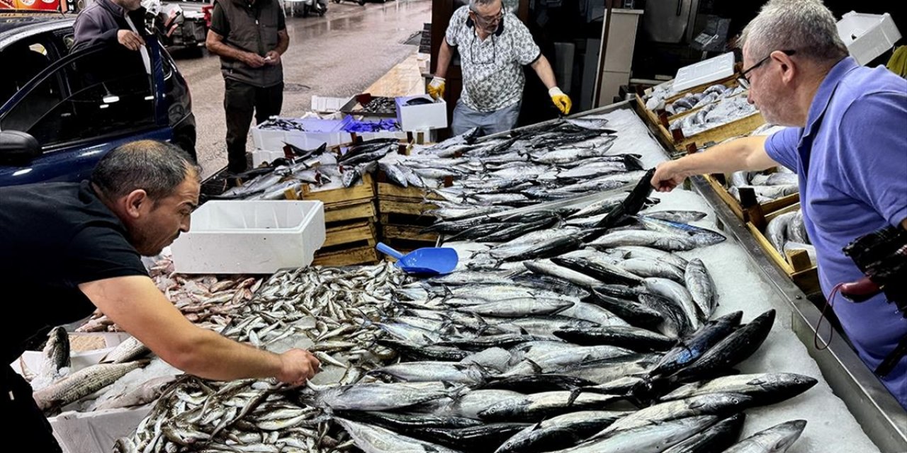 Balık Tezgahlarında Palamut, Hamsi ve Çinekop Bolluğu Yaşanıyor