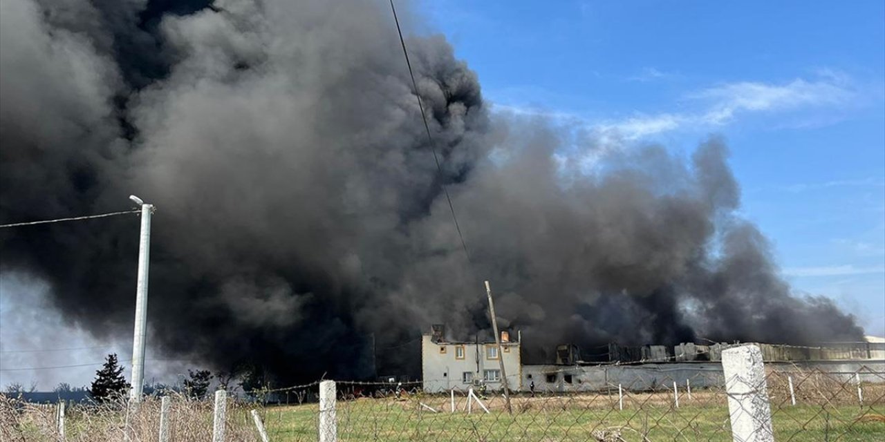 Tekirdağ'da Fabrikada Çıkan Yangına Müdahale Ediliyor
