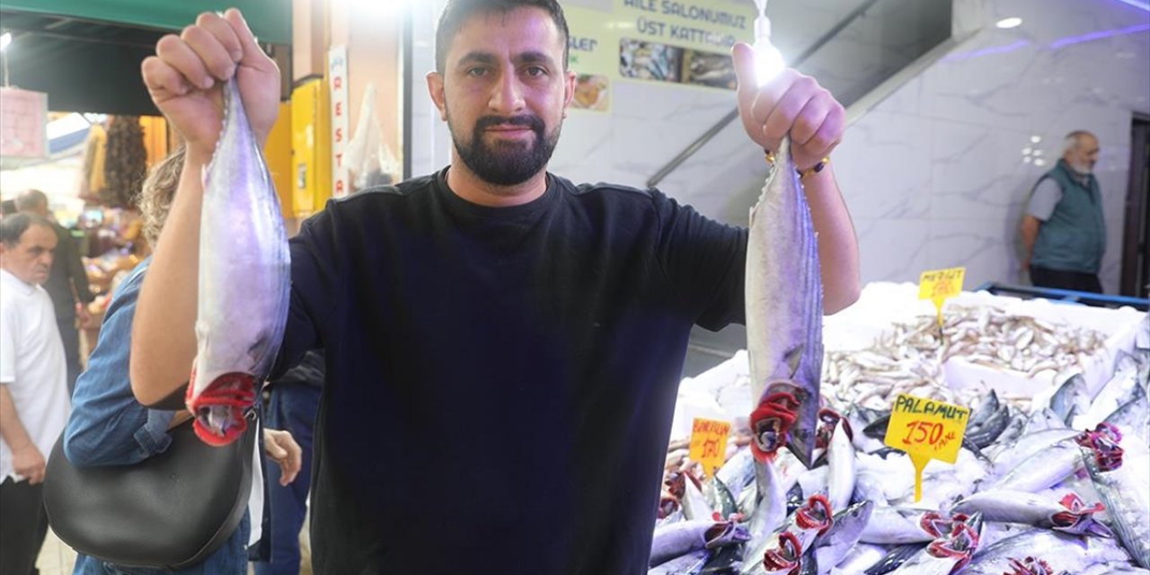 Karadeniz'de Palamudun Fiyatı 150 Liraya Çıktı