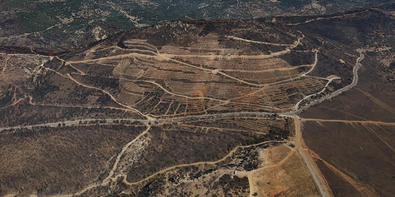 İzmir Yamanlar'da Yanan Ormanlık Alan 1 Milyondan Fazla Fidan ve 8 Ton Tohumla Yeşertilecek