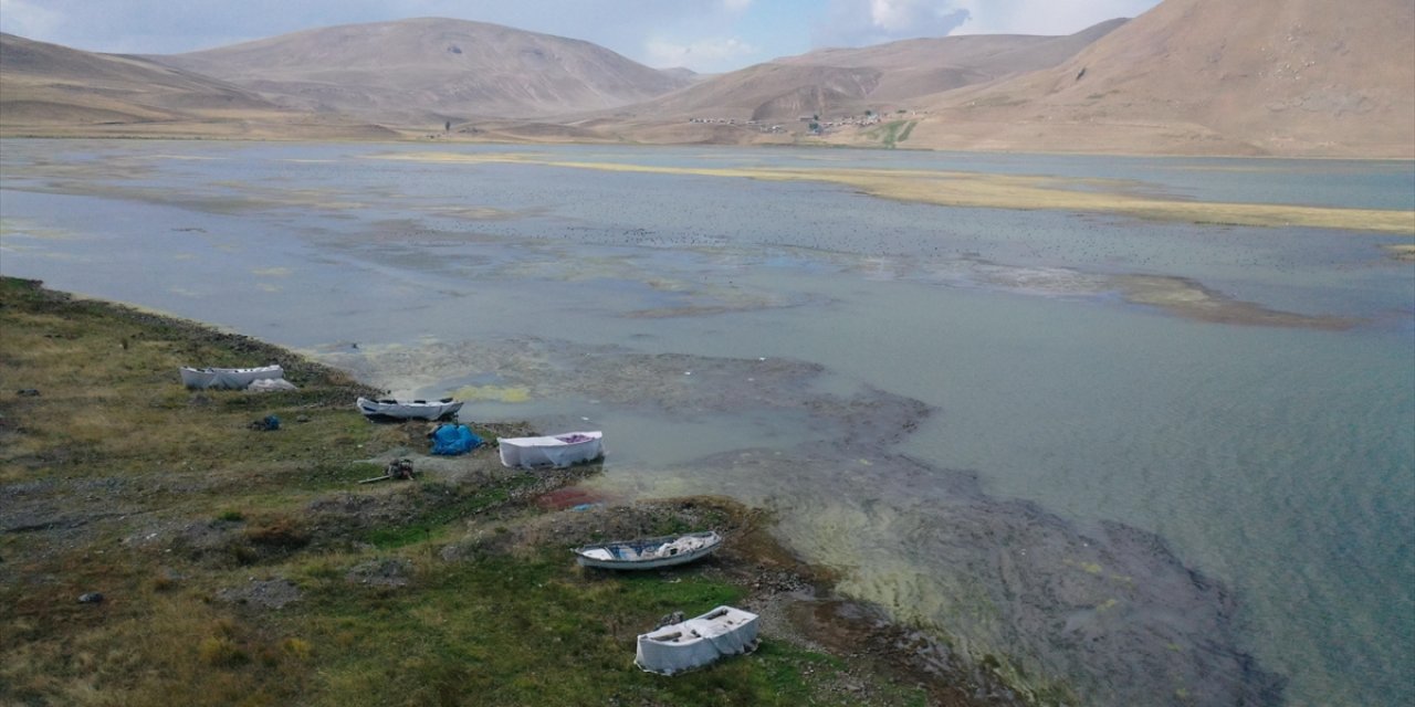 Suyu Çekilen Ve Yosun Tutan Balık Gölü'nde "Canlı Yaşamı" Tehlikede