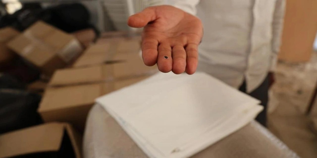 Deprem Bölgesinde Çip Paniği