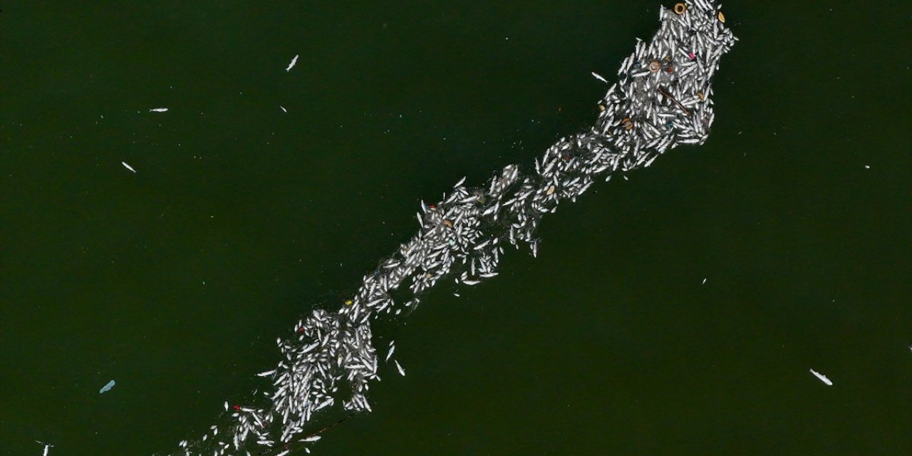 İzmir Körfezi'ndeki Kirlilik İçin "Altyapı Yetersizliği" Vurgusu