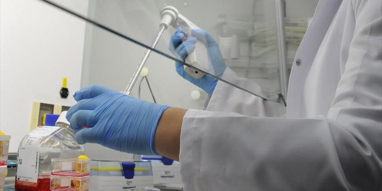 Kimya Sektörü Eylül Ayında 2,2 Milyar Dolarlık İhracat Gerçekleştirdi