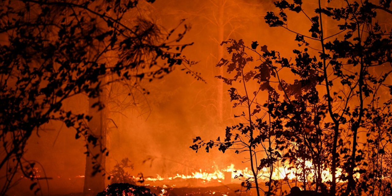 ABD'nin California Eyaletindeki Yangınlarda 1 Milyon Dönümden Fazla Alan Kül Oldu
