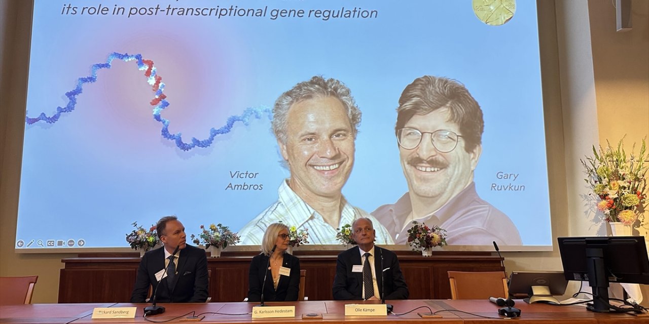 2024 Nobel Tıp Ödülü "Microrna Keşfinden" Dolayı ABD'li Victor Ambros Ve Gary Ruvkun'a Verildi