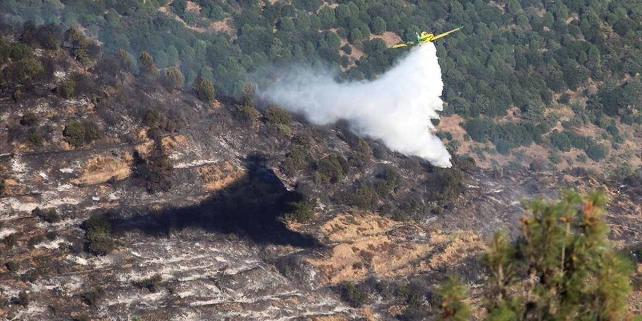 Aydın'da Çıkan Orman Yangını Kontrol Altına Alındı