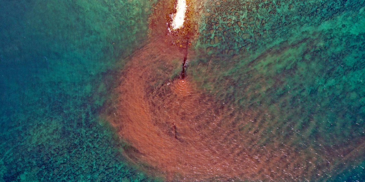 Didim'de Kirli Suyun Arıtılmadan Denize Boşaltıldığı İhbarına İnceleme