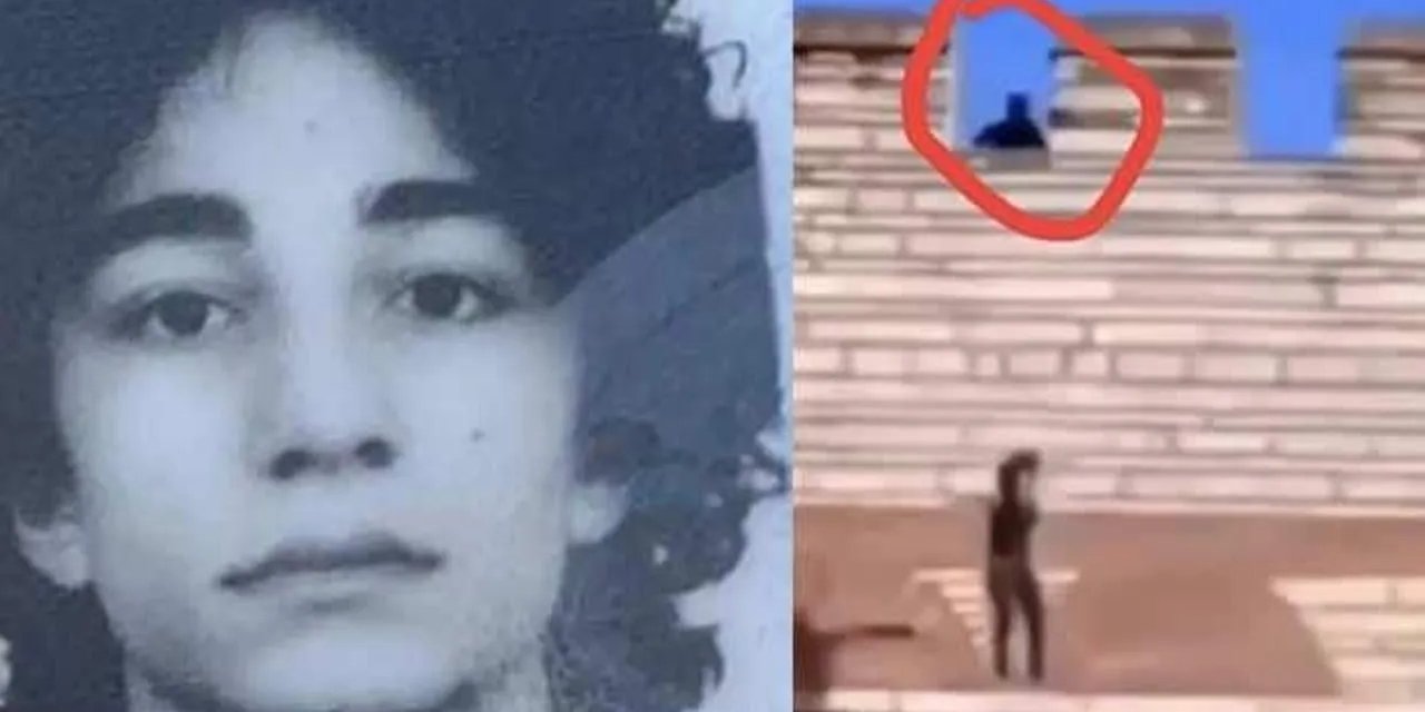 Sur Canisi Semih Çelik'in Arkasındaki Kişi Kim?