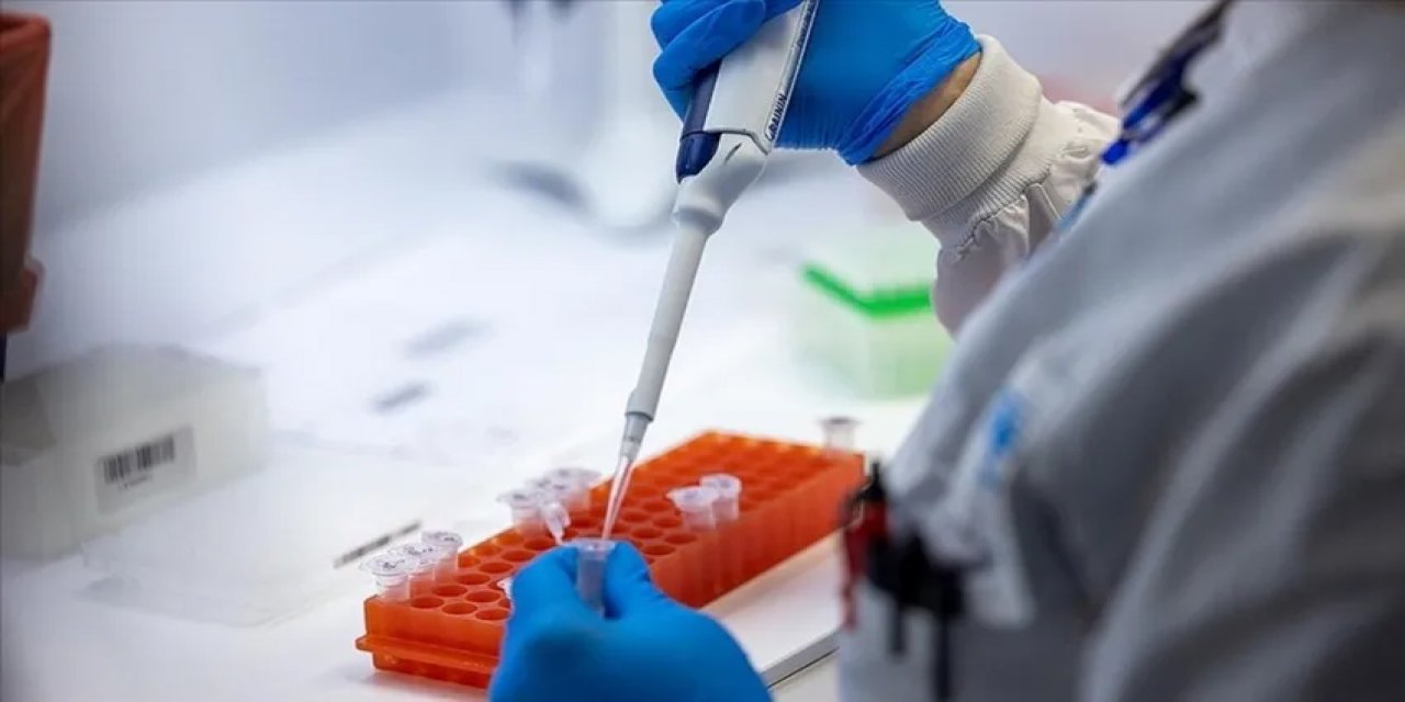 Nijerya'da M Çiçeği Virüsü Vakaları 84'e Kadar Yükseldi