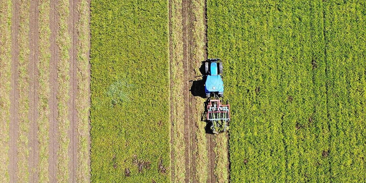 Tarım Sezonundaki Yağışlar Geçen Döneme Göre Yüzde 11 Arttı