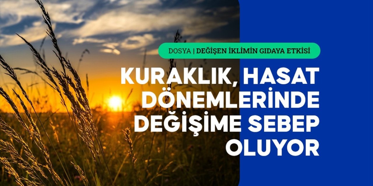 Aşırı Sıcaklıkların Getirdiği Kuraklık ve Dengesiz Yağışlar Tarımsal Üretimi Etkiliyor