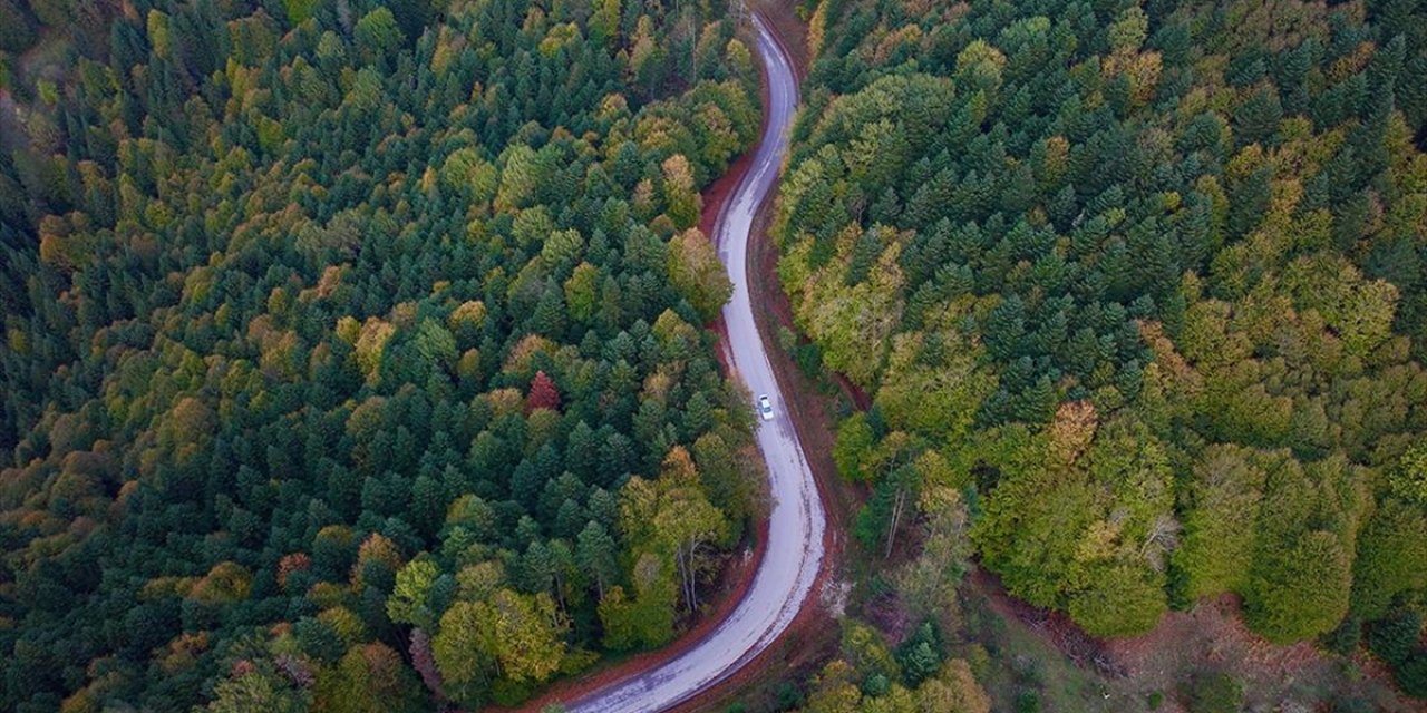 Yedigöller Doğa Tutkunlarını Sonbaharın Güzelliğini Keşfe Çıkarıyor