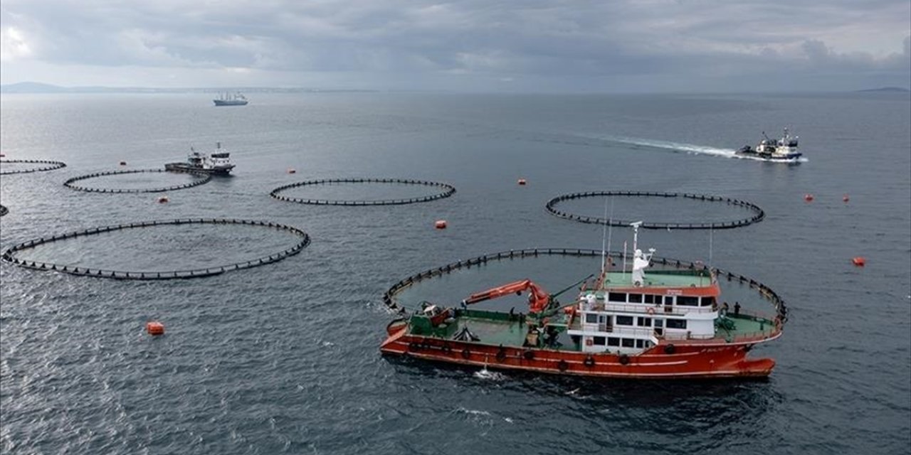 Karadeniz'in 9 Aylık Su Ürünleri İhracatı 266 Milyon Doları Aştı