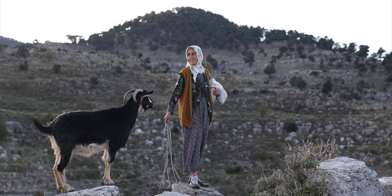 Antik Kentin 45 Yıllık Çobanı: Yörük Fatma