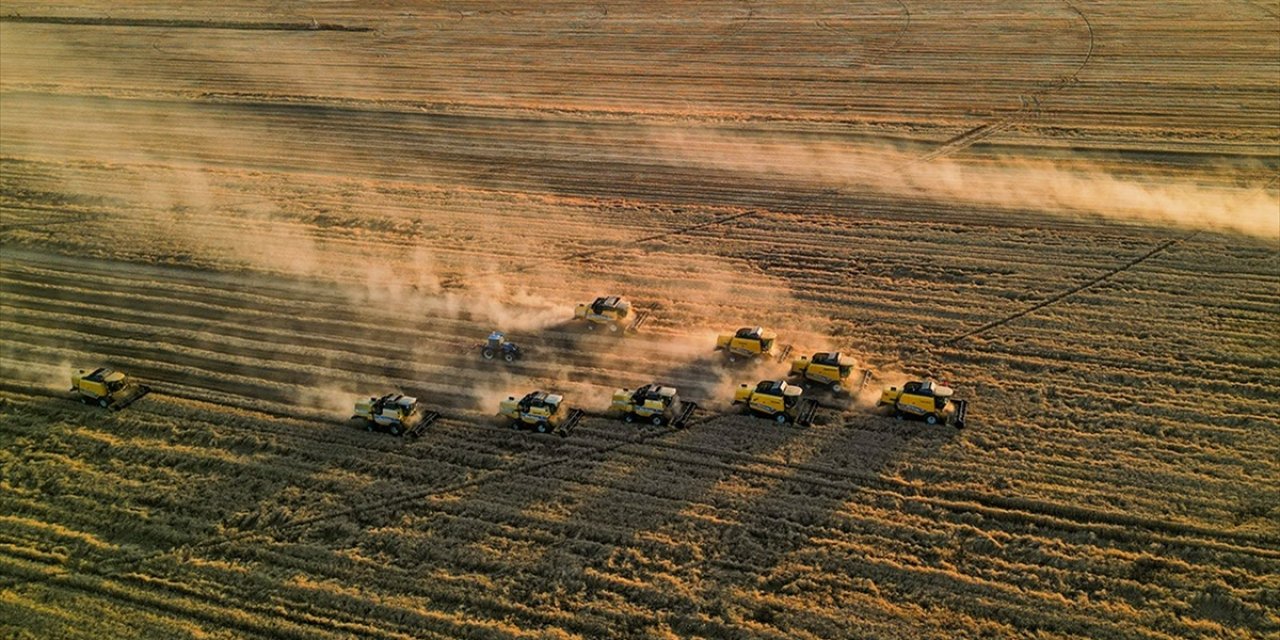 Tarımsal Girdi Fiyat Endeksi Ağustosta Aylık Bazda Yüzde 1,39, Yıllık Yüzde 33,25 Arttı