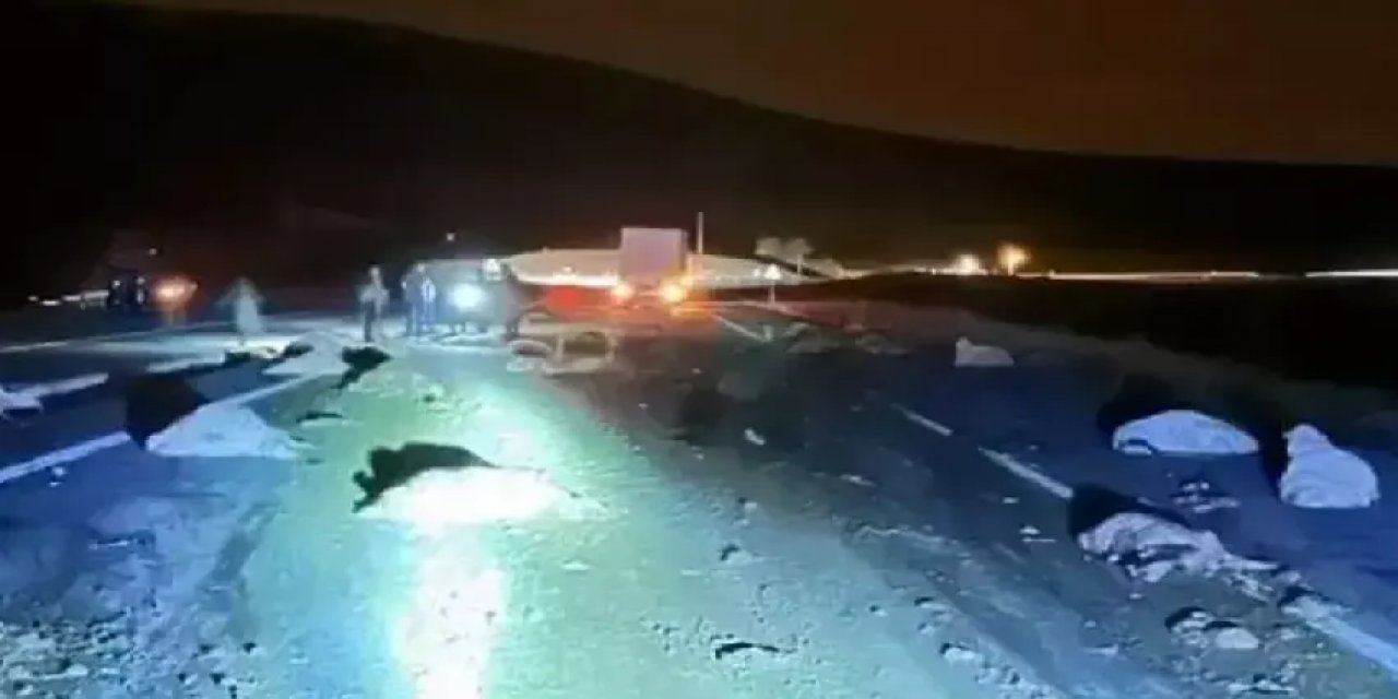 Ardahan'da Çok Sayıda Hayvan Telef Oldu