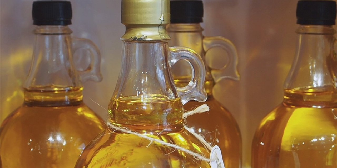 Hileli Zeytinyağını Rengi Değil Tadı Ve Kokusu Ele Veriyor