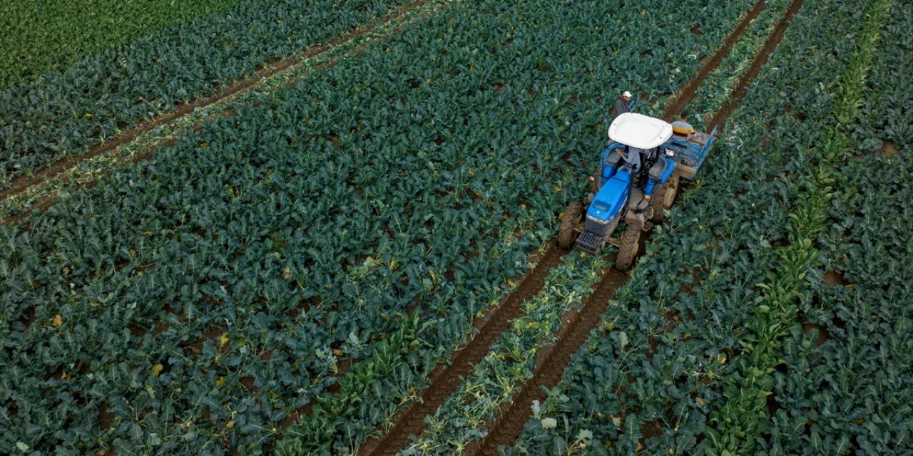 Dünya Bankası, Tarım Finansmanını 9 Milyar Dolara Çıkaracak