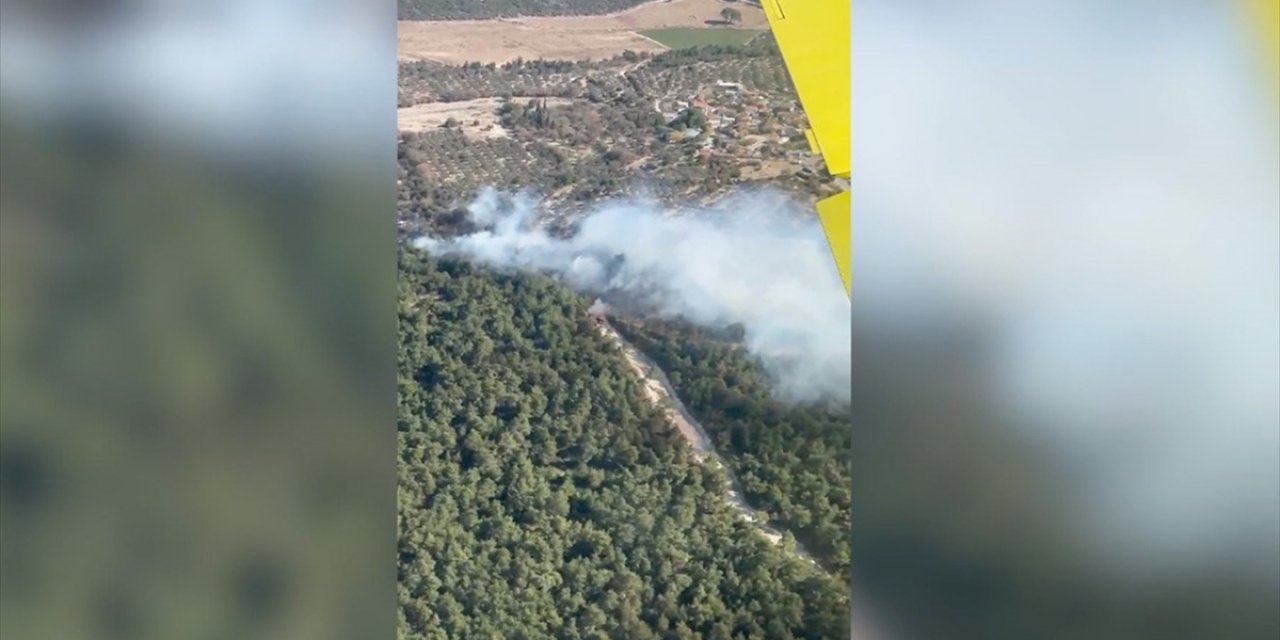 İzmir'de Tarım Arazisinde Çıkıp Ormana Sıçrayan Yangın Kontrol Altına Alındı