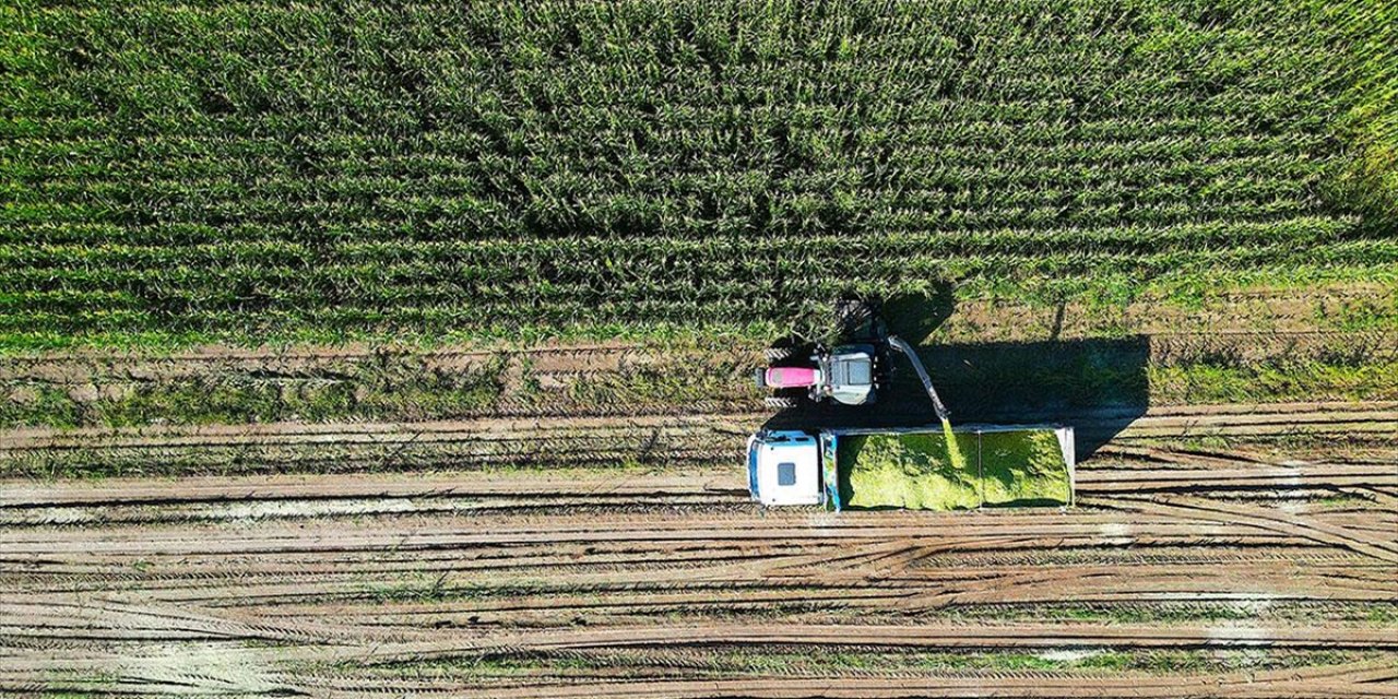 Çiftçilere Yaklaşık 150 Milyon Liralık Destekleme Ödemesi Yapılacak